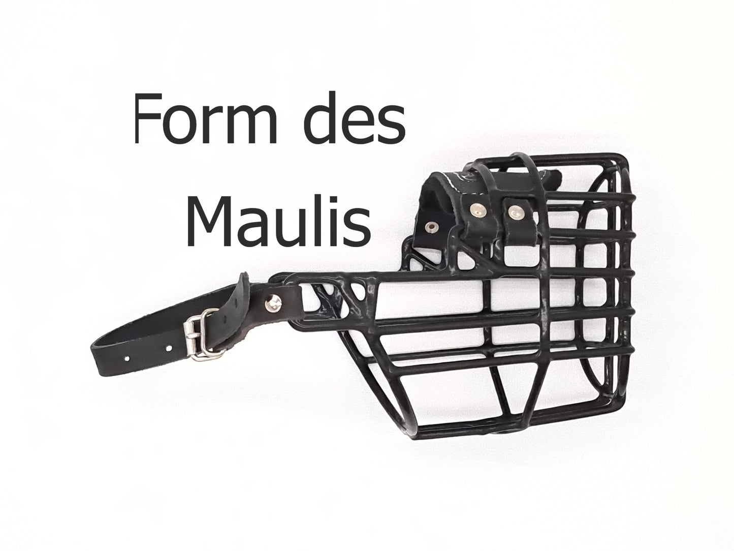 Mauli Chopo "Cocker Spaniel" - Hündin