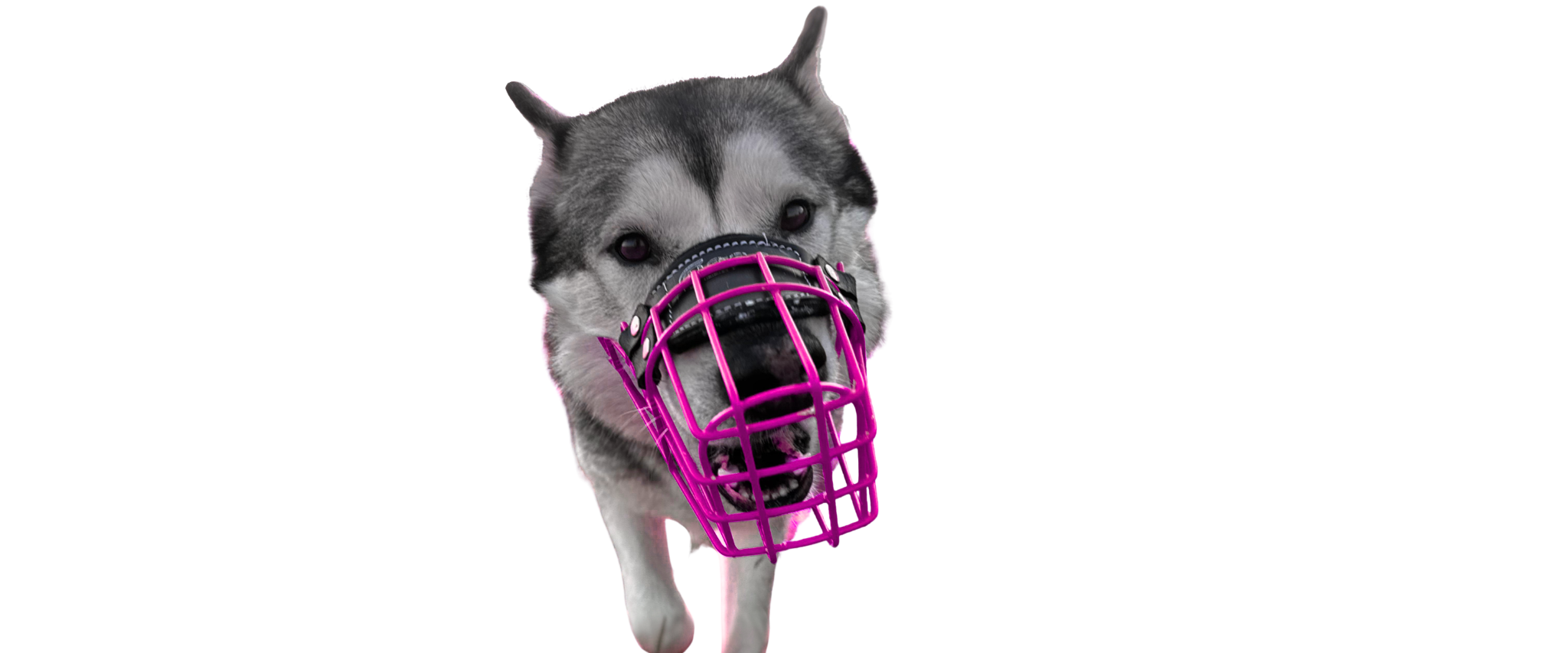 MyMauli "Mini Aussi"